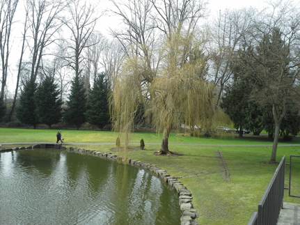 Photo of the Talaris grounds