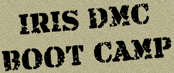 IRIS DMC BOOT Camp