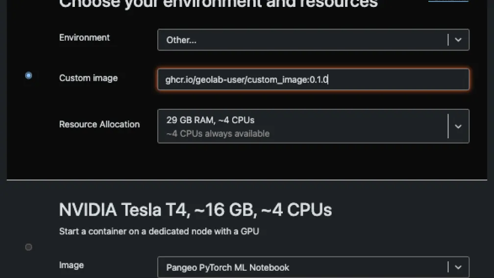 Screenshot of JupyterHub server selection step where a custom image path can be entered.