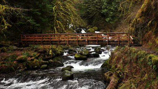 a wooden bride spans a rushing stream containing boulders, mossy green plants cover the banks