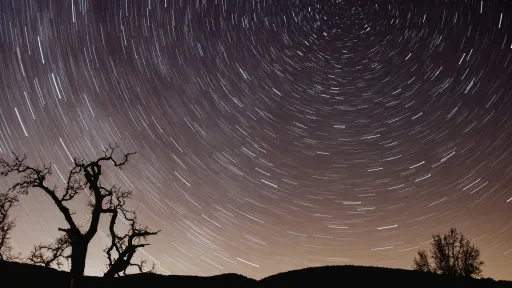 nighttime long-exposure photo showing rotating stars in the sky above dark silhouette of tree and ground