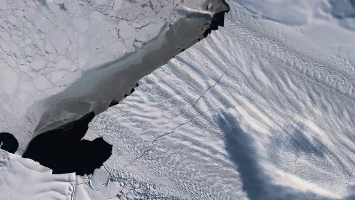 satellite photo of ice shelf meeting the sea