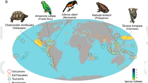 Natural hazards put some species at increased risk of extinction