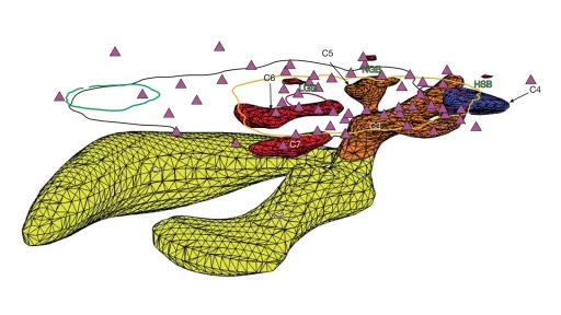 Yellowstone&rsquo;s magma system comes into focus