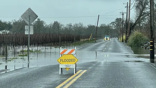 Water pools out of a vineyard across the road, a hazard sign in the middle of the road read "FLOODED".