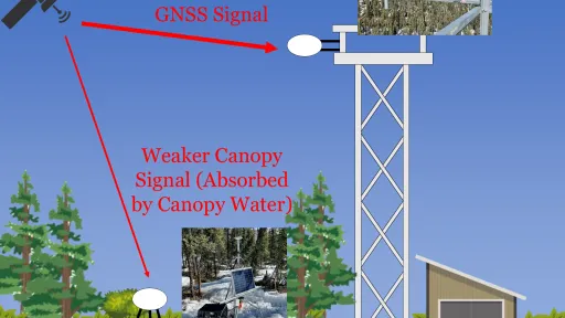 Cartoon showing one GNSS antenna situated amongst plants and another antenna mounted to a tower above the vegetation.