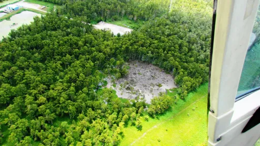 Photo taken from helicopter showing circular patch of missing trees and gray mud.