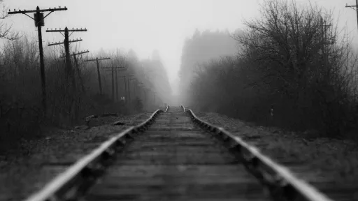 Black and white photo of a railroad disappearing into fog and trees on the horizon.