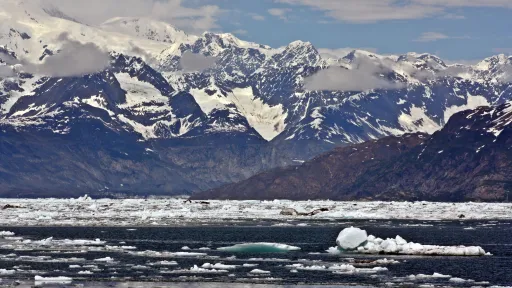 Photo of light sea ice with snow capped mountains on the coast in the distance.