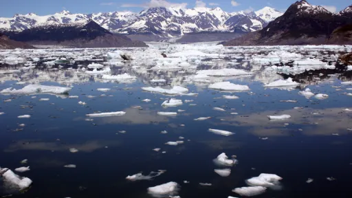 Photo of floating chunks of ice in glassy water with snow-capped mountains and a fjord in the background.