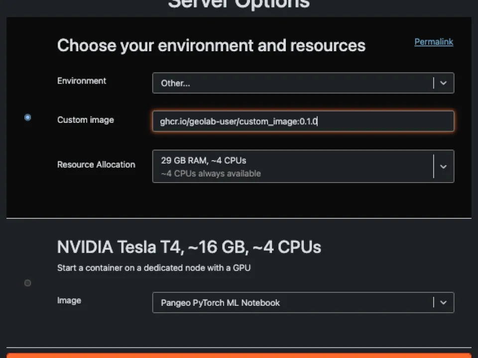 Screenshot of JupyterHub server selection step where a custom image path can be entered.