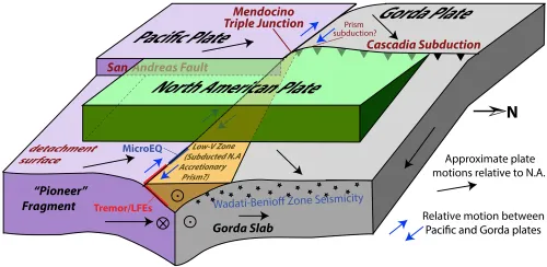 Block illustration of the Pioneer fragment and Gorda Slab beneath the North American plate.
