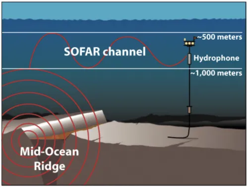 A scientific cartoon showing a cross-section of the ocean with seismic and acoustic waves in red. Seismic waves radiate from a mid-ocean ridge, where they then propagate to the right through a layer labeled "SOFAR channel" before reaching a hydrophone.