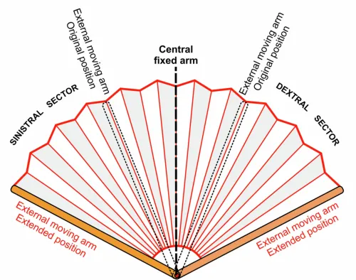 Illustration of a handheld fan with text indicating that the left and right sides extend from a central fixed arm.