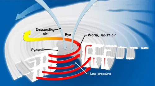 A cross-section diagram of a hurricane. The hurricane is depicted as a spiral structure sliced in half to reveal white columns and rows of clouds to show the structure of thunderstorms, and the innermost column is noted as the "eyewall." A spiral red arrow aligned with the columns indicates direction of circulating warm & moist air that rises upwards out of the hurricane. An annotation for "low pressure" points to the center of the hurricane structure, which is called the "eye." Blue arrows fall inward to t
