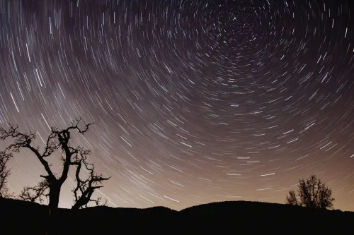 nighttime long-exposure photo showing rotating stars in the sky above dark silhouette of tree and ground