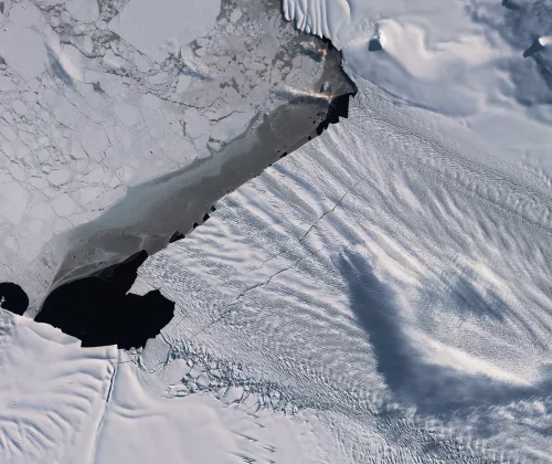 satellite photo of ice shelf meeting the sea