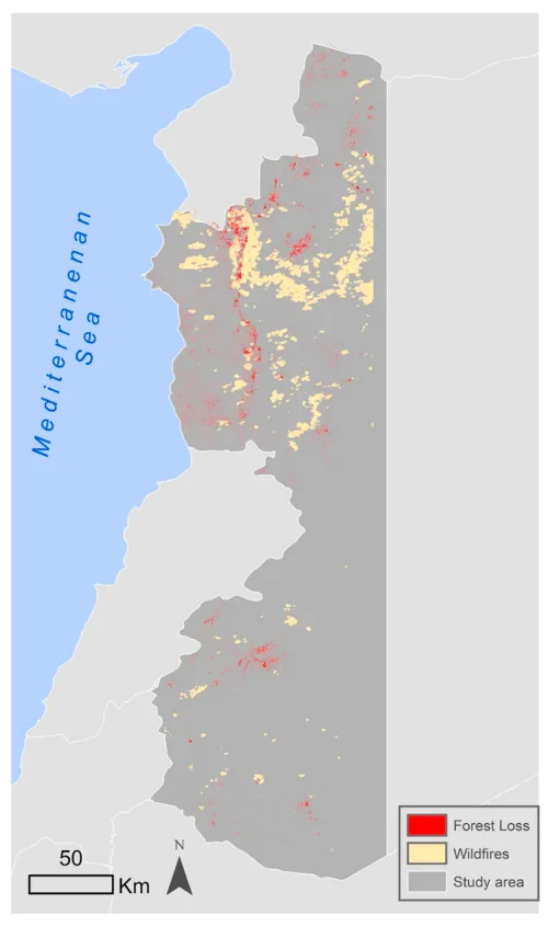 Deforestation2_0.png