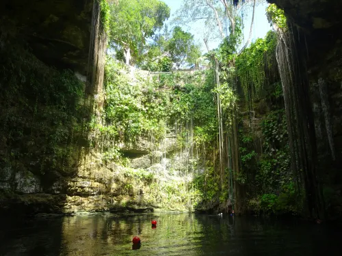 Photograph of a sinkhole filled with water and overgrown with vegetation.