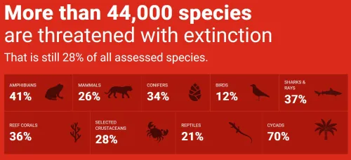 ICUN Red List graphic displaying the number of different kinds of species threatened with extinction.