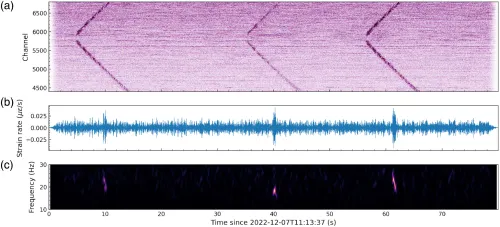 Three graphs show V-shaped signals as acoustic waves from whale calls spread in both directions along the cable. Second chart shows strain rate spiking along with each call, and the third chart shows the frequency of the whale call signals.