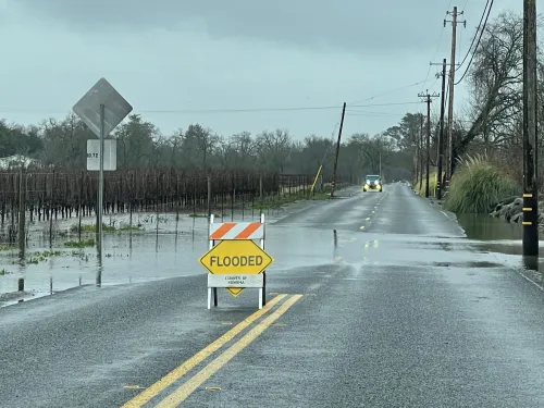 Water pools out of a vineyard across the road, a hazard sign in the middle of the road read "FLOODED".