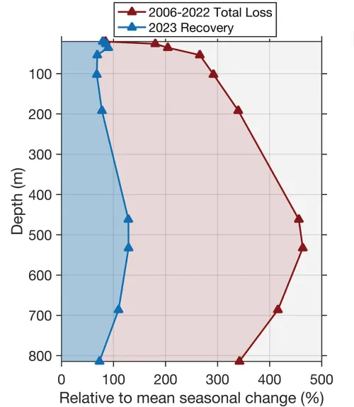 Plot showing that most of the 2006-2022 losses were recovered in 2023 near the surface, but that recovery was only partial between 100 and 800 meters depth.