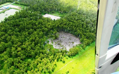 Photo taken from helicopter showing circular patch of missing trees and gray mud.