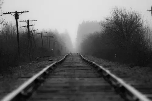 Black and white photo of a railroad disappearing into fog and trees on the horizon.