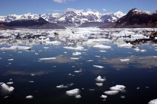 Photo of floating chunks of ice in glassy water with snow-capped mountains and a fjord in the background.